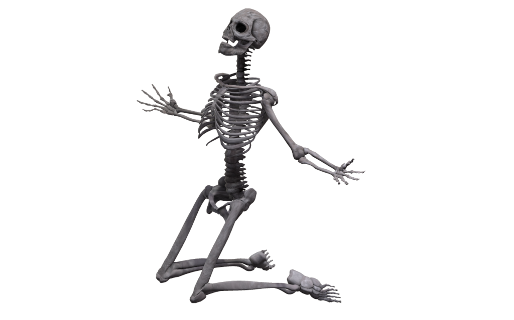 Страдающий скелет. Скелет на белом фоне. Скелет без фона. Скелет на прозрачном фоне. Скелет сидит.